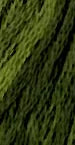 GA Sampler Thread - 196 Green With Envy
