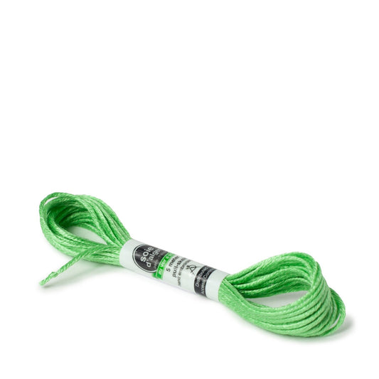 Soie D'Alger Silk - 222 Vert Lumiere