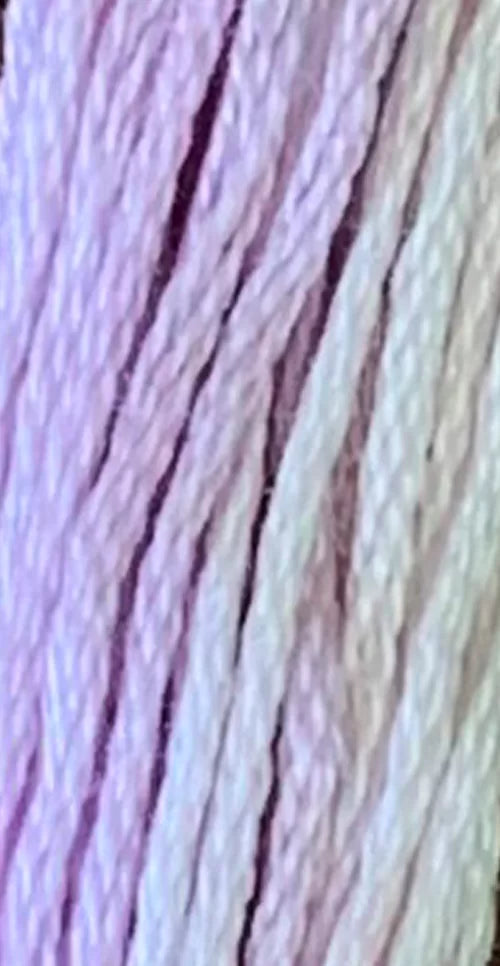 GA Sampler Thread - 811 Wisteria