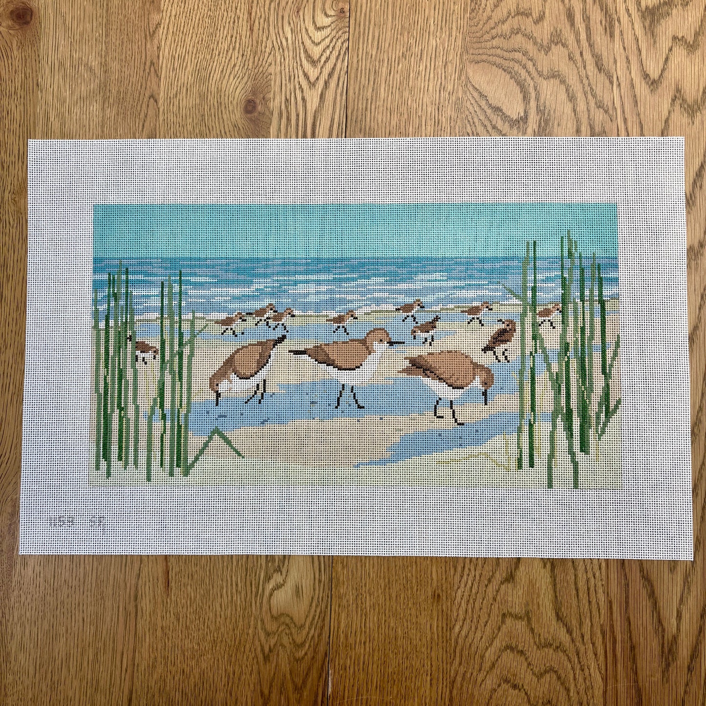 Sanderlings - 13 mesh (TS)