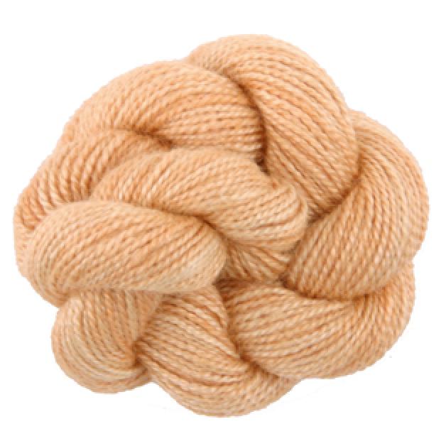 Soy Luster - 149 Ginger