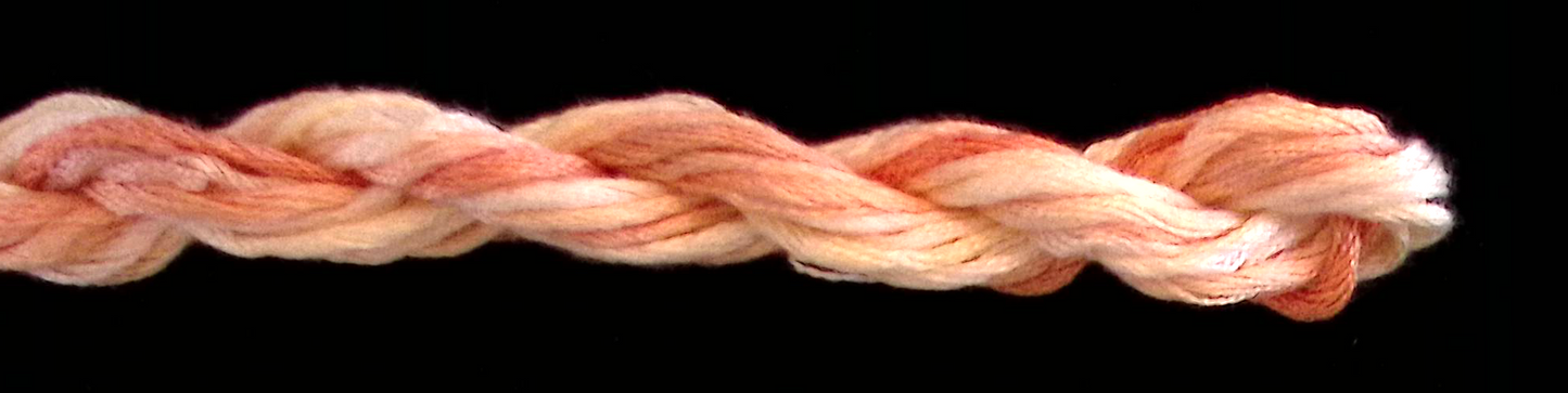 Waterlilies - 166 Creamsicle