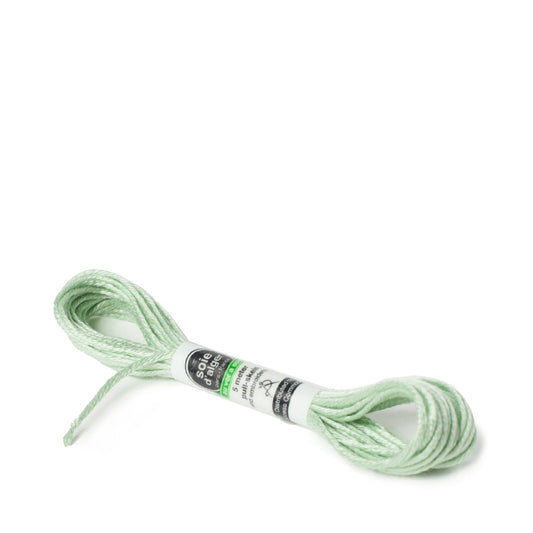 Soie D'Alger Silk - 1841 Vert Troene