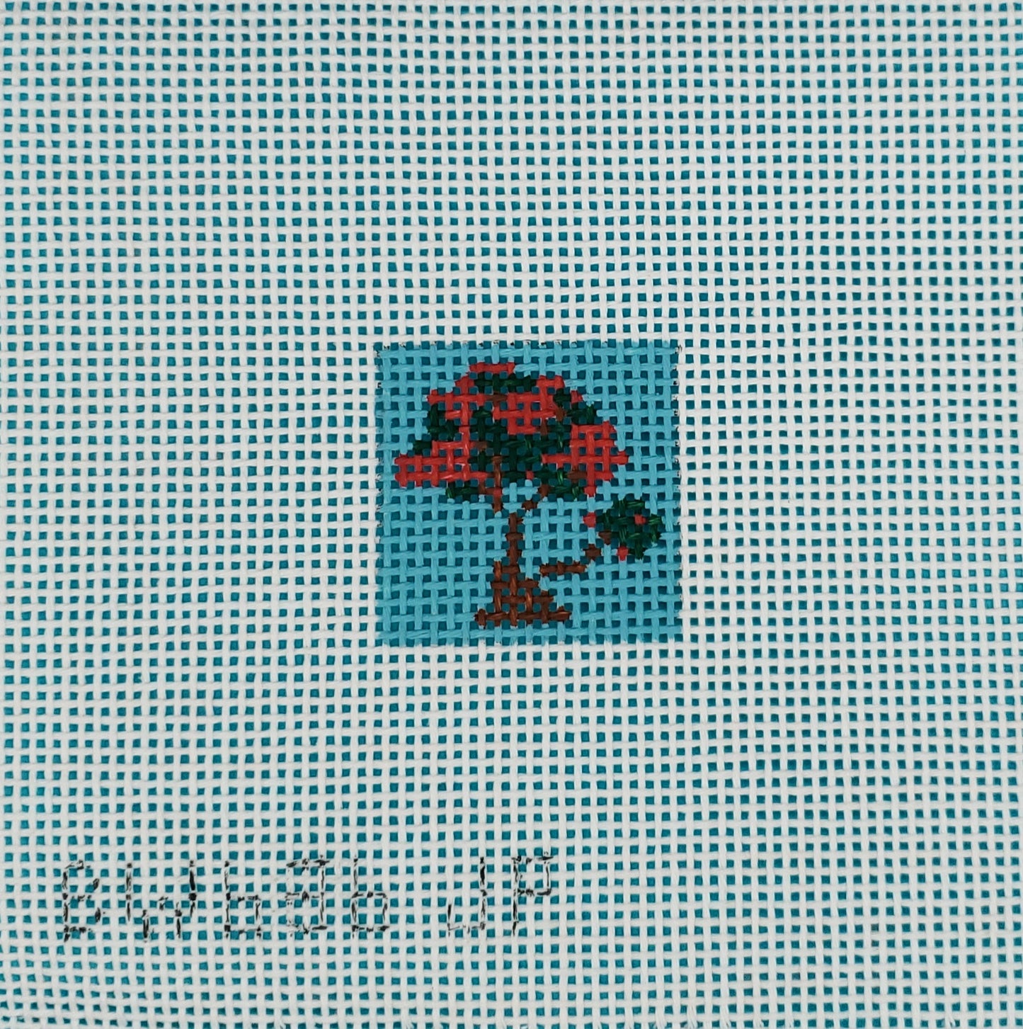 Bag Tag Insert Canvases on 13 Count