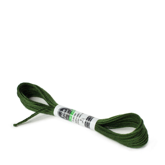 Soie D'Alger Silk - 2136 Vert Oeillet