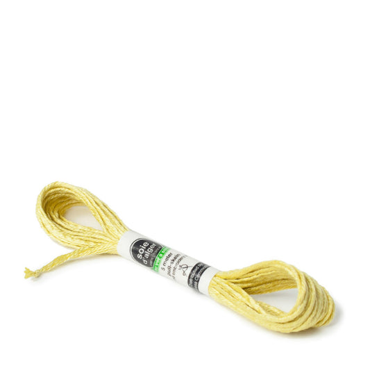 Soie D'Alger Silk - 2141 Vert Raisin