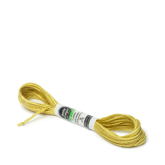 Soie D'Alger Silk - 2222 Vert Tilleul