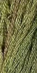 GA Sampler Thread - 7074 Chives