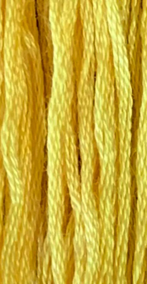 GA Sampler Thread - 7105 Goldenrod