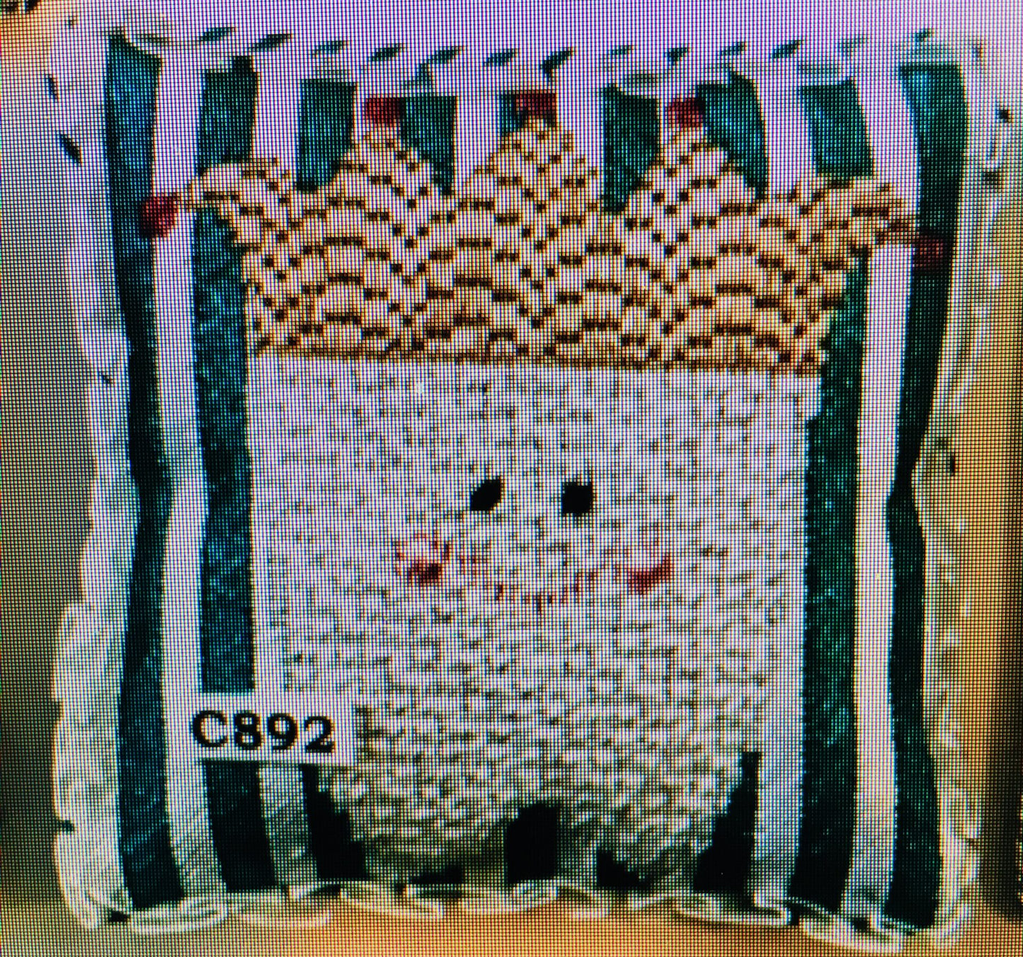 Princess Tooth Fairy Pillow (TS)