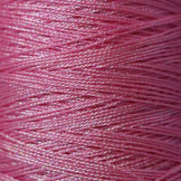 Radiance - Filly Lily - J556