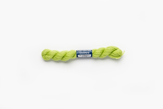 Planet Earth Wool - 056 Fiddlehead