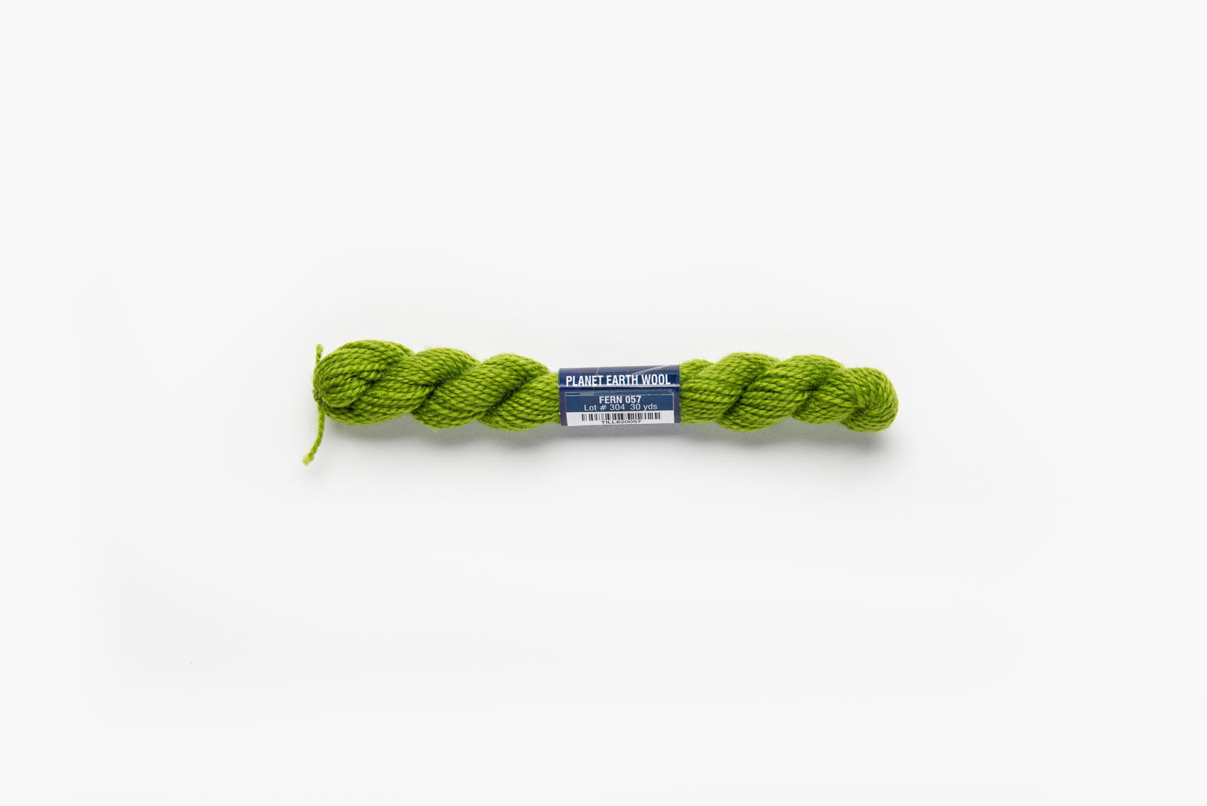 Planet Earth Wool - 057 Fern