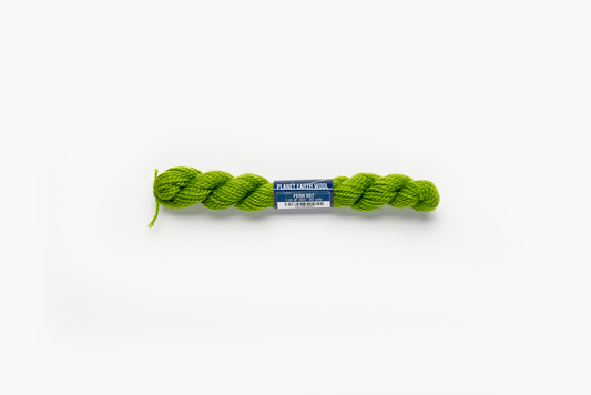 Planet Earth Wool - 057 Fern
