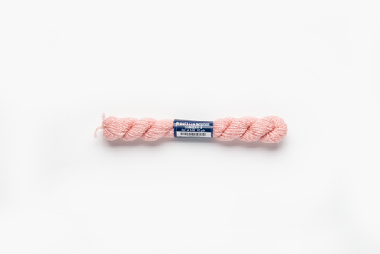 Planet Earth Wool - 145 Simmer