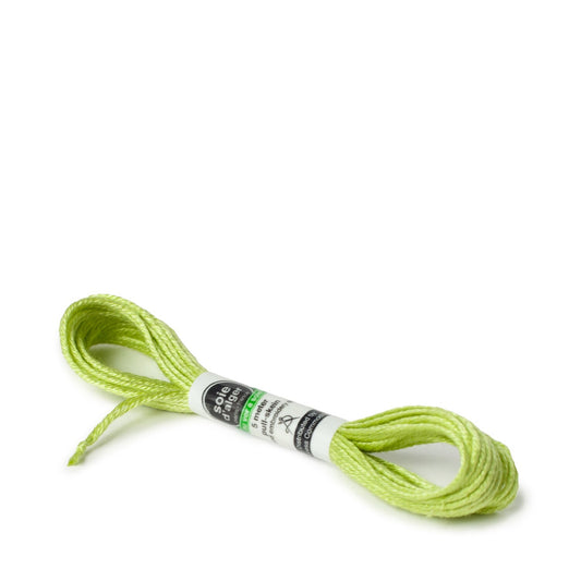 Soie D'Alger Silk - 243 Vert Pre