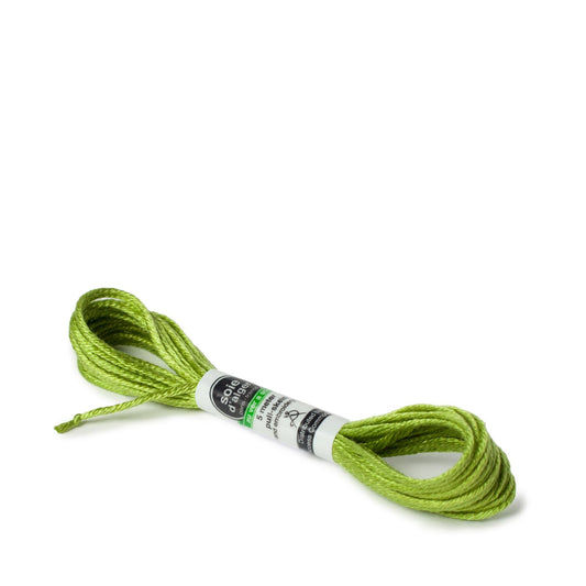 Soie D'Alger Silk - 244 Vert Pre