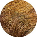 Straw Silk 253 Malt Liquor