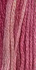 GA Sampler Thread - 370 Poinsettia