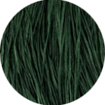 Straw Silk 427 Pickleweed