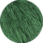 Straw Silk 428 Seabean *