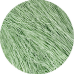 Straw Silk 429 Gin *