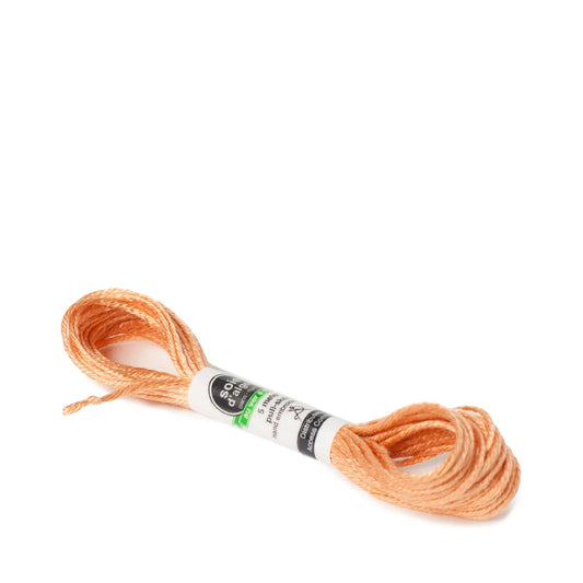 Soie D'Alger Silk - 643 Saumon