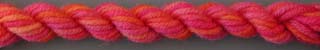 Lorikeet -Rose Flame - 070W3