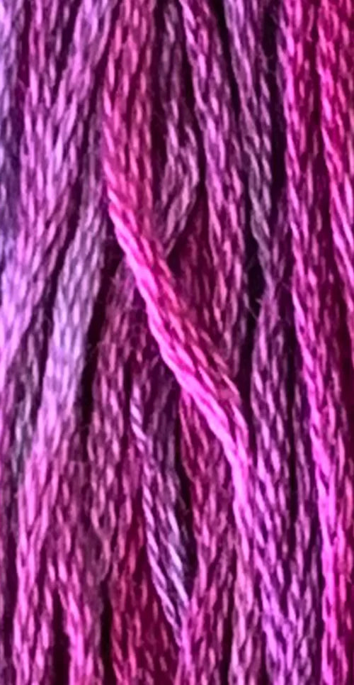 GA Sampler Thread - 895 Dragon Fruit