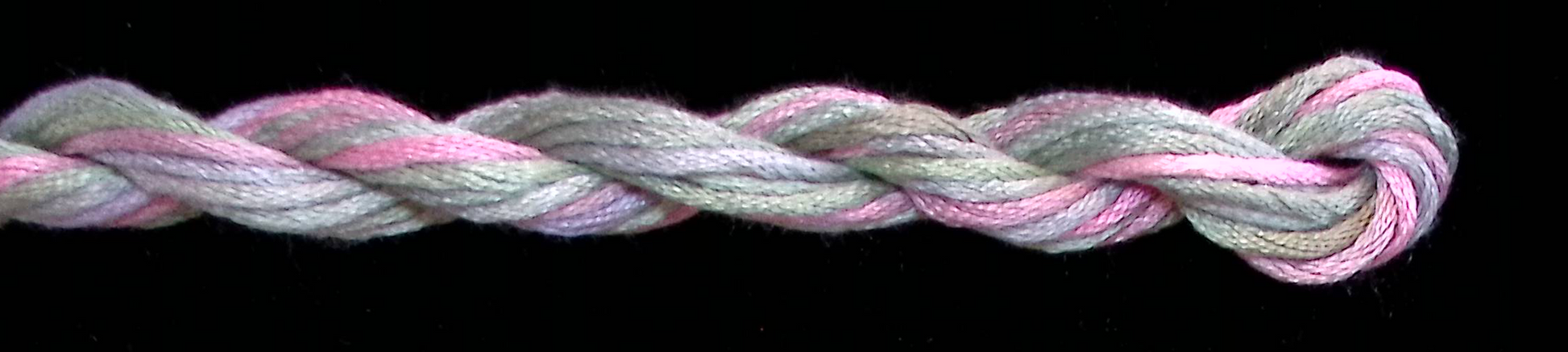 Waterlilies - 105 Succotash