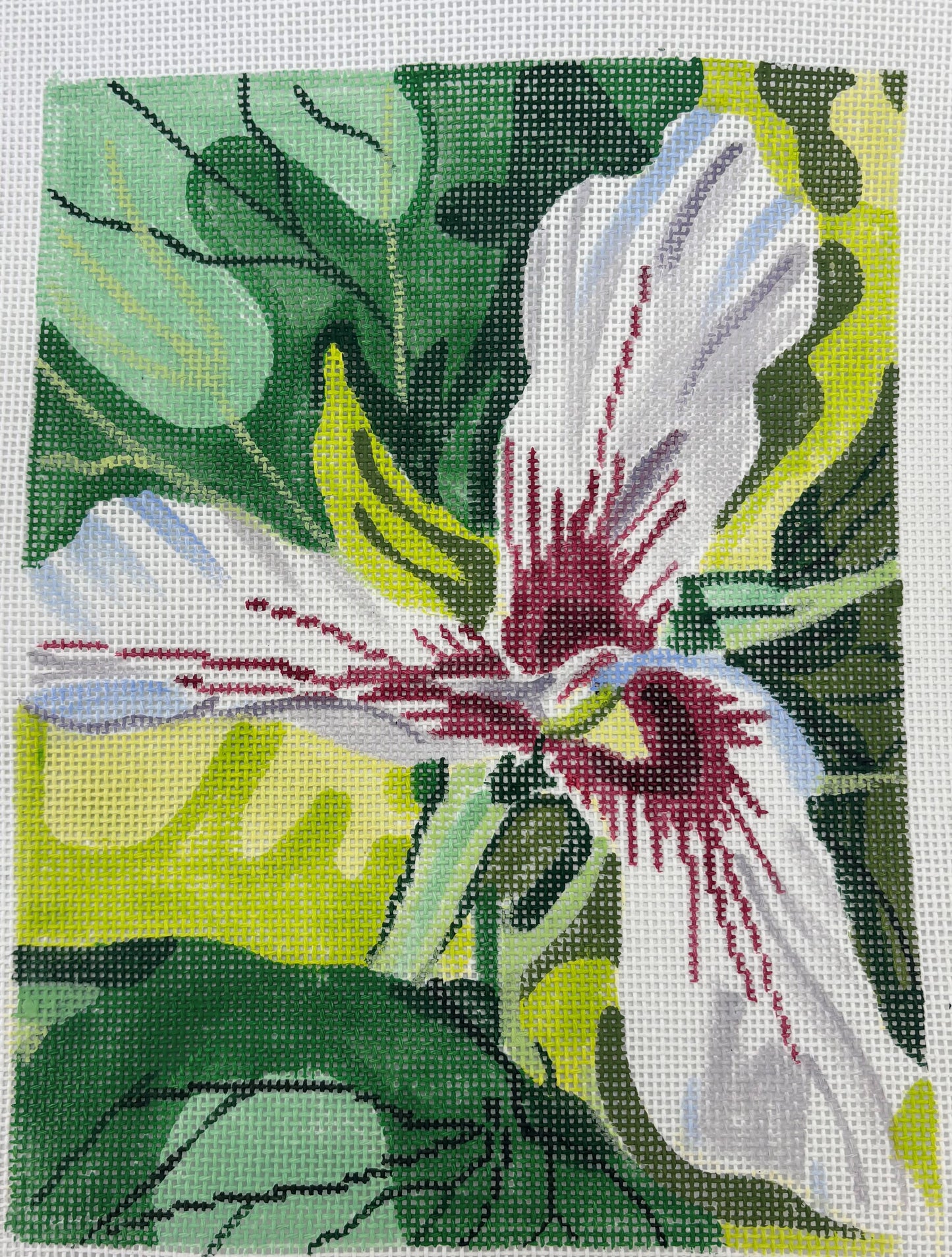 Jean Smith
Trillium
6