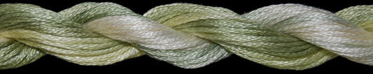 Threadworx OD Floss -1082 Cabbage