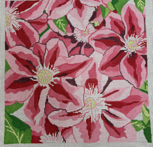 Jean Smith
Pink Clematis
174A