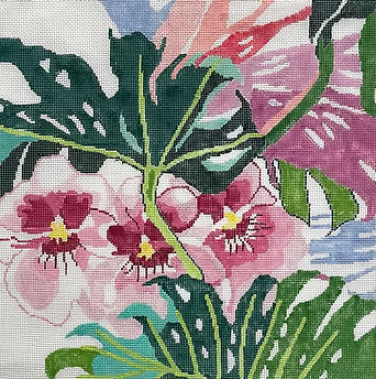 111A (TS) Jungle Orchid #1