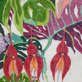 111B (TS) Jungle Orchid #2