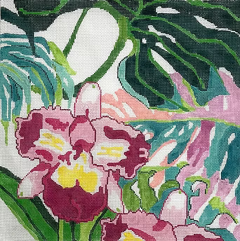 111C (TS) Jungle Orchid #3