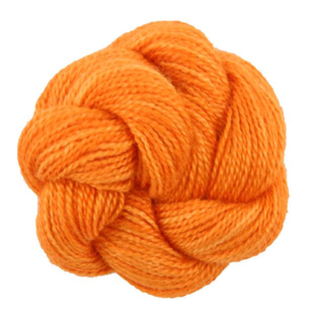 Soy Luster - 113 Jack O'Lantern-Light