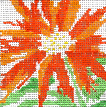 113J (TS) Sm Orange Splash Flower
