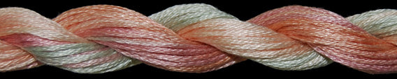 Threadworx OD Floss -1142 Desert Flowers