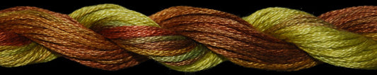 Threadworx OD Floss -1163 Fall