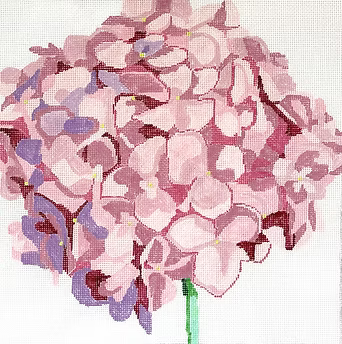 116A (TS) Pink Hydrangea