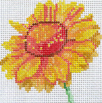 139A-11 (TS) Blanket Flower