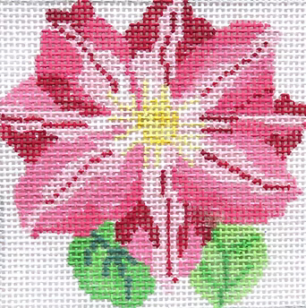 139A-28 (TS) Pink Clematis