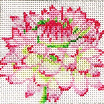 139A-29 (TS) Pink / Green Mum