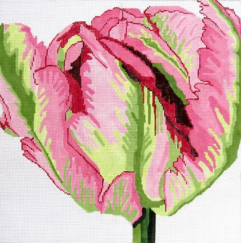 139A-34 (TS)Princess Tulip