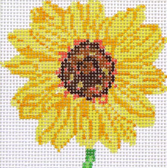 139A-5 (TS) Sunflower