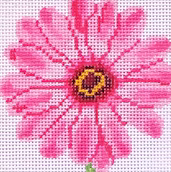 Simply Flowers Coasters