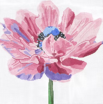 139C-10 (TS) Purple Anemone