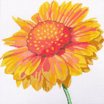 139C-11 (TS) Blanket Flower