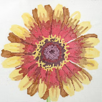 139A-12 (TS) Flambing Zinnia